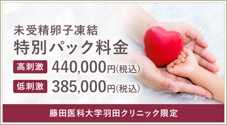 特別パック料金